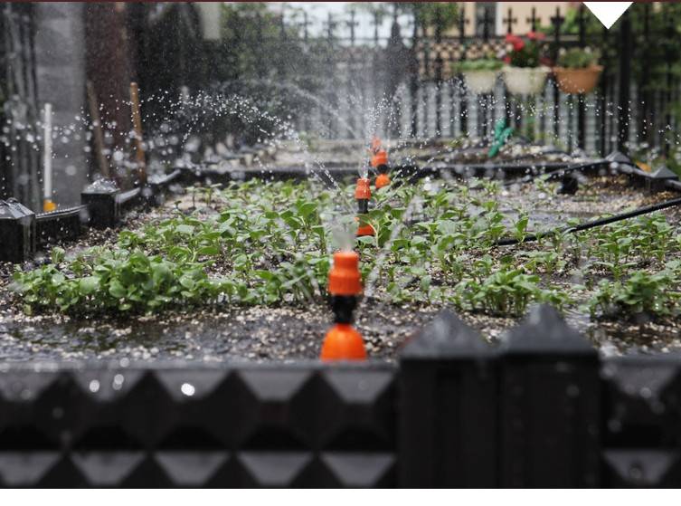 小型菜園灌溉噴灌系統(tǒng)