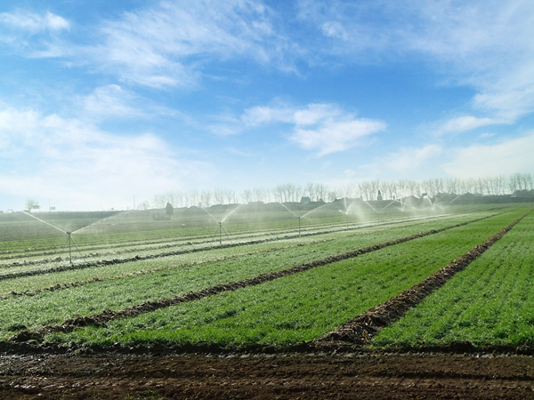 智慧農(nóng)業(yè)智能灌溉系統(tǒng)