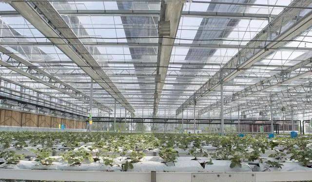 玻璃溫室棚控制系統(tǒng)