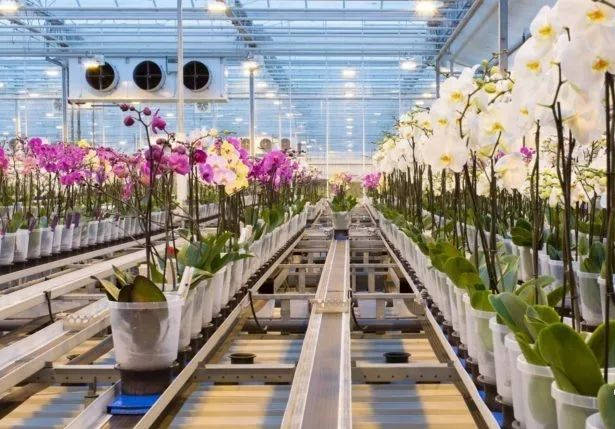 溫室大棚物聯網設備