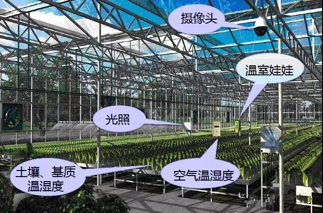 山西智慧農業大棚