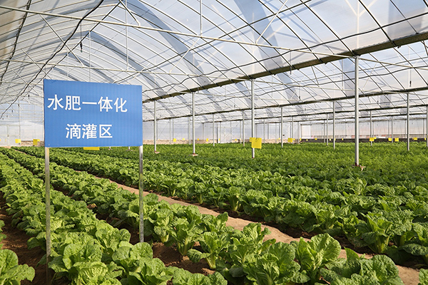 智慧農業項目方案