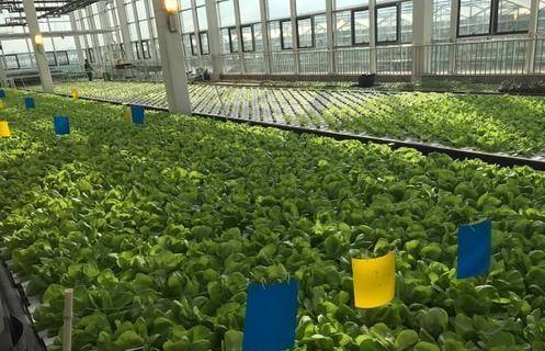 學(xué)校智慧農(nóng)場