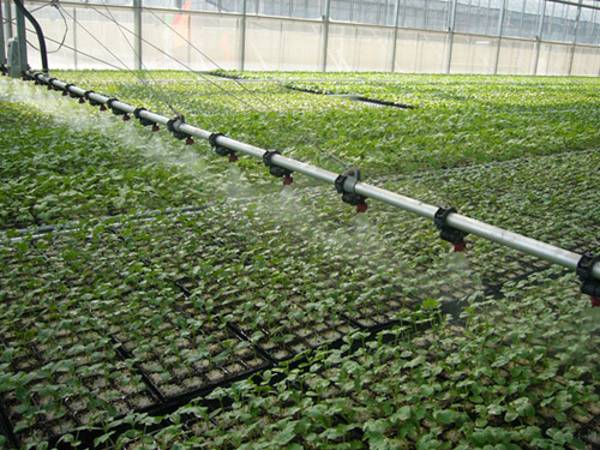 智能化大棚改造 智能化大棚改造