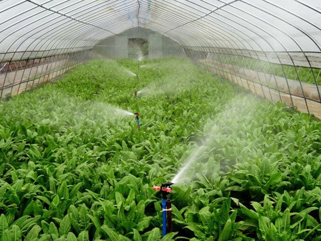 噴滴灌系統(tǒng) 噴滴灌系統(tǒng)