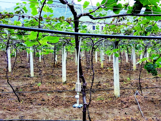 果園滴灌水肥一體化 果園滴灌水肥一體化