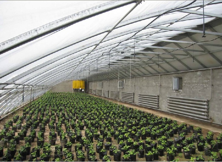 全自動農業大棚