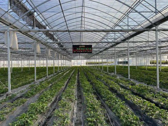 農業智能大棚系統 農業智能大棚系統