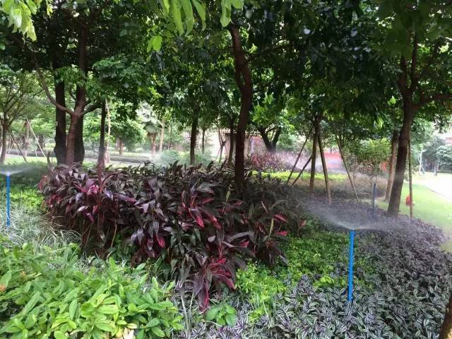 智能自動化噴灌系統(tǒng) 智能自動化噴灌系統(tǒng)