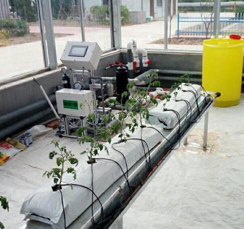 苗木水肥灌溉系統