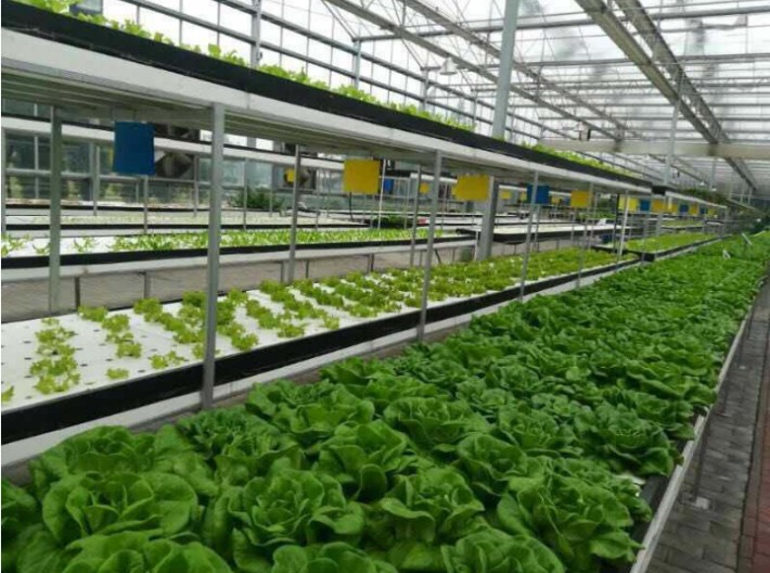 智能蔬菜大棚系統(tǒng)