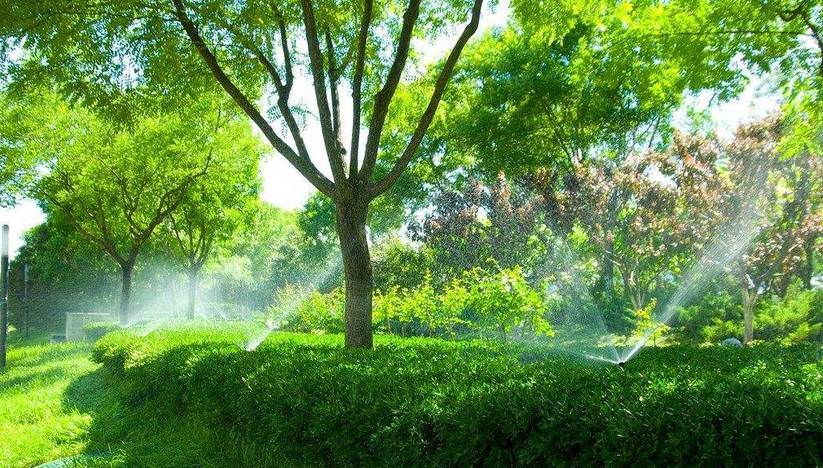 遠程綠植澆灌系統