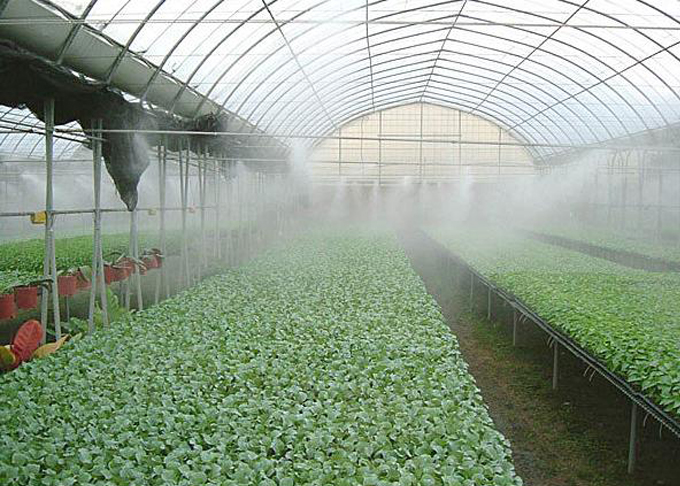 智能蔬菜大棚管理系統