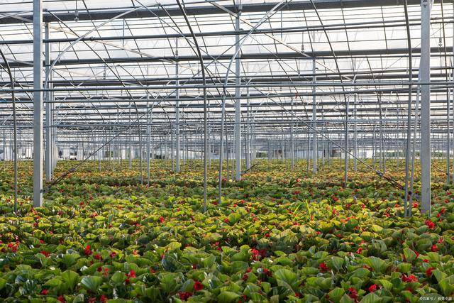 大棚溫度濕度自動控制系統