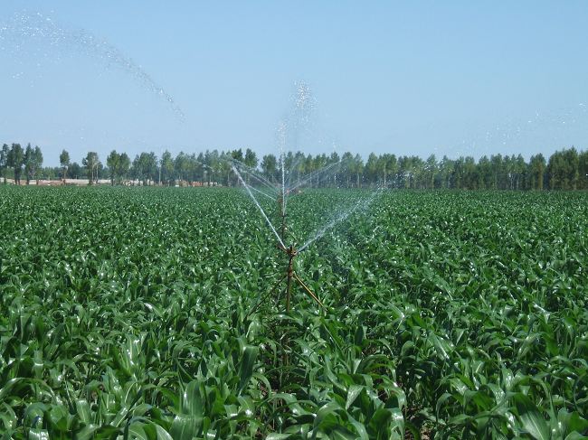 田間自動灌溉系統