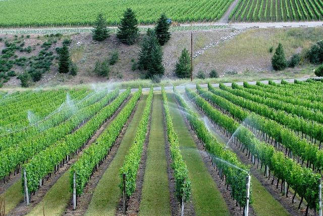 科技農業灌溉智能裝備