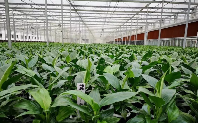 溫室大棚遠程控制