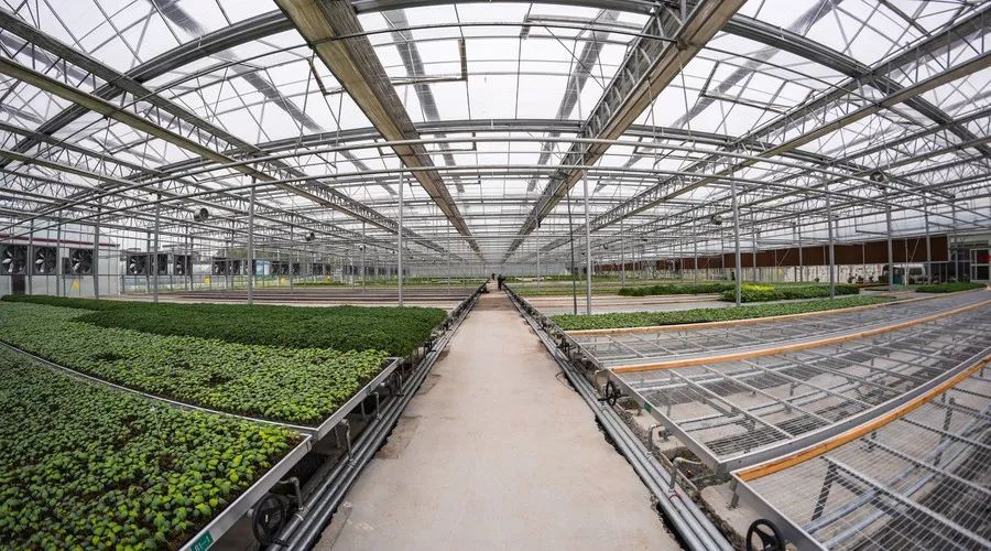 智能溫室大棚廠家