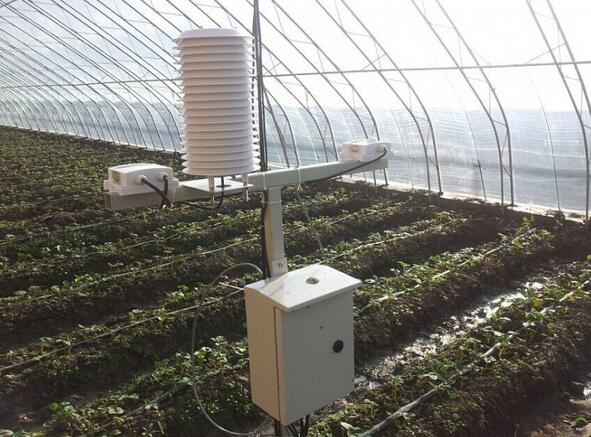 智慧大棚監控系統廣東 智慧大棚監控系統廣東