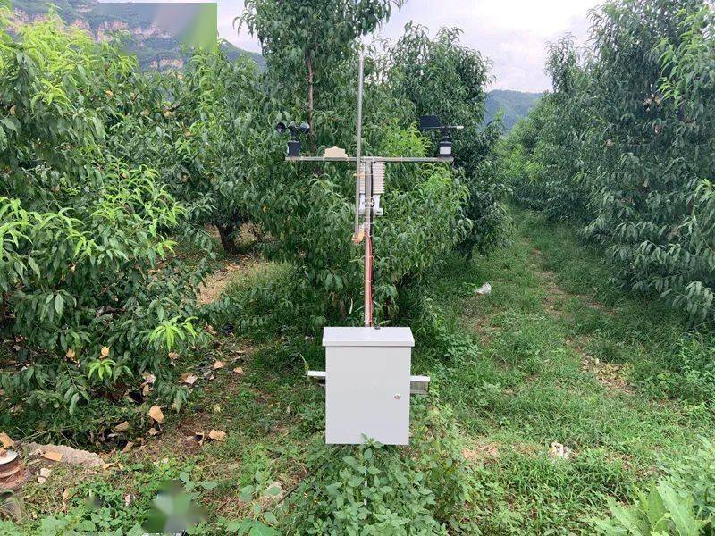 數(shù)字果園信息化系統(tǒng) 數(shù)字果園信息化系統(tǒng)