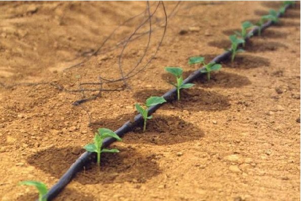 廣東省微灌控制 廣東省微灌控制