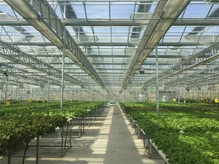 溫室大棚廠家 溫室大棚廠家