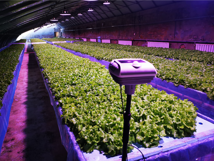 農業物聯網無人管理系統