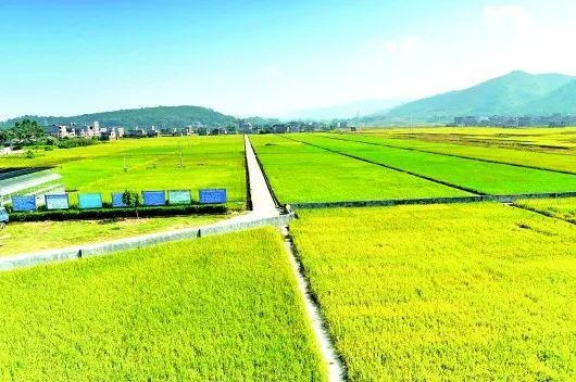 高標準農田綜合管理平臺