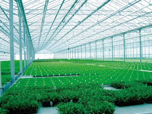 大棚溫濕度監測設備