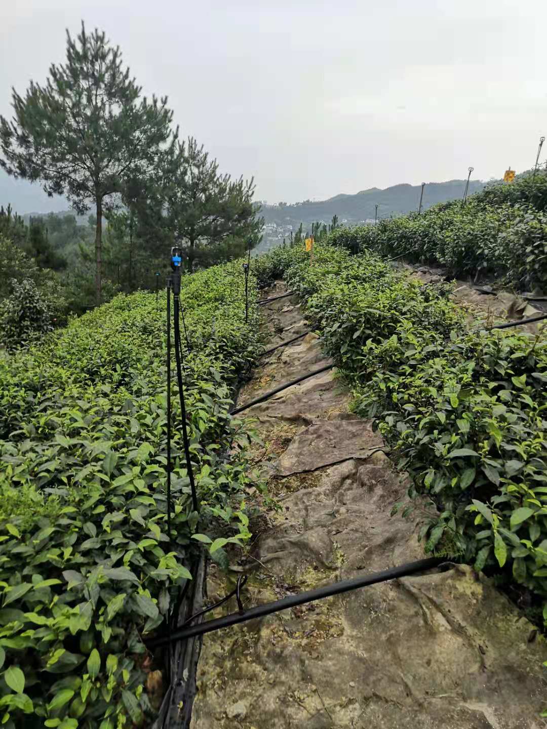 智慧農業灌溉平臺