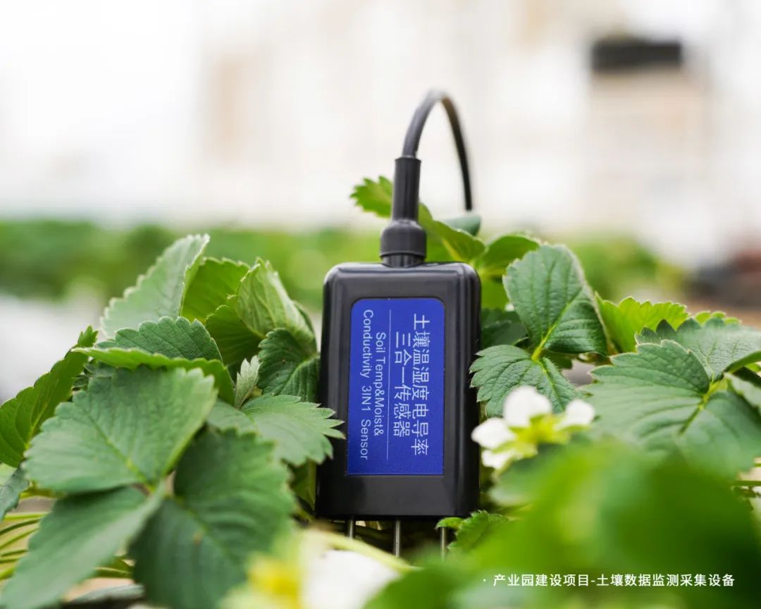 智慧農(nóng)業(yè)傳感器制造商 智慧農(nóng)業(yè)傳感器制造商