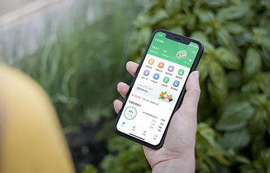 數字化大棚方案