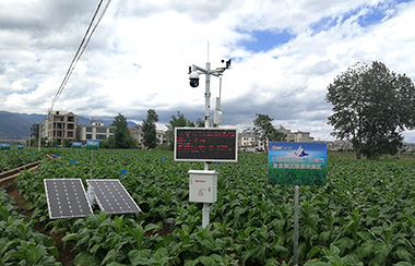 田間氣象智能監測系統