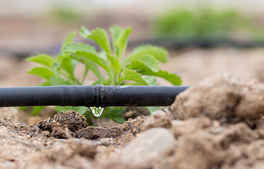 田間智能灌溉系統