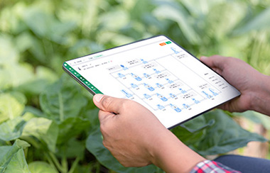 農業物聯網云平臺方案