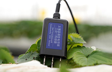 農業物聯網傳感器